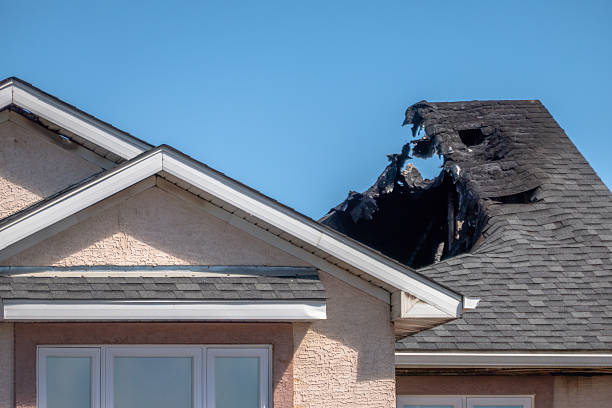 Top rated local Fire Board Up specialists in Montrose, MN